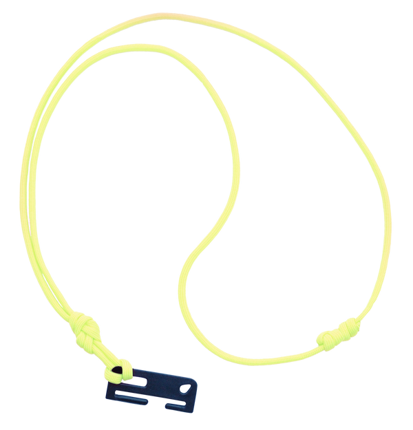 Lanyard Lockbox '18 Amarillo